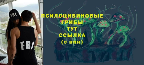 винт Инта