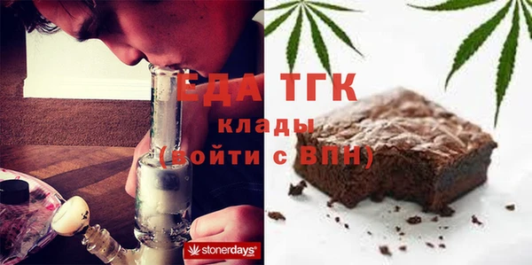 тгк Инсар