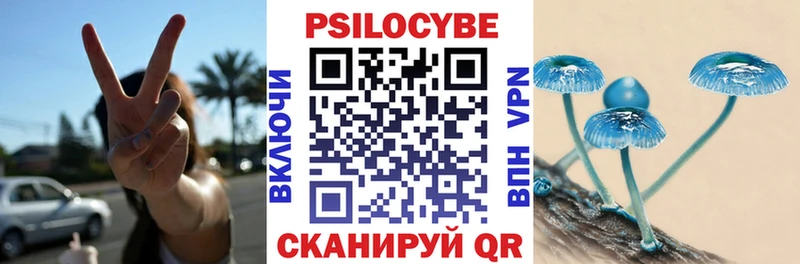 ссылка на мегу ссылка Анива Псилоцибиновые грибы мухоморы дарнет шоп